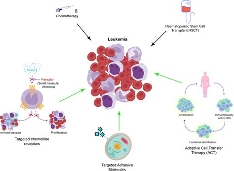 Treatment For Leukemia