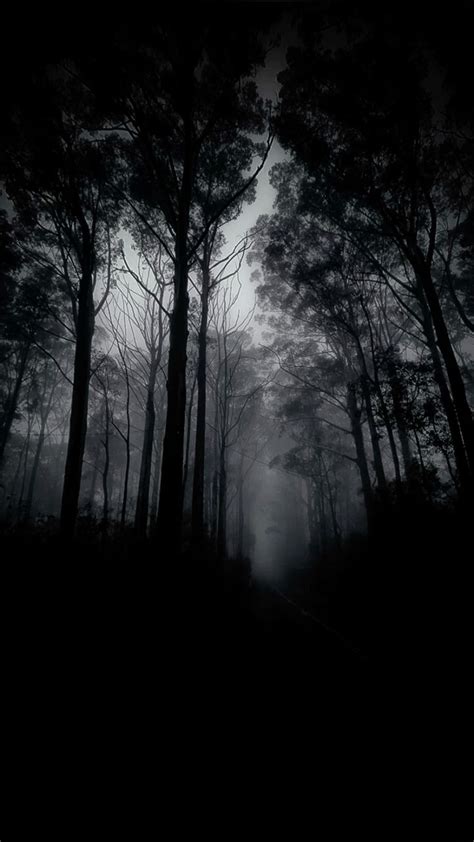 Dark Aesthetics - Explore the Beauty of Dark Home Decor | Scary forest ...