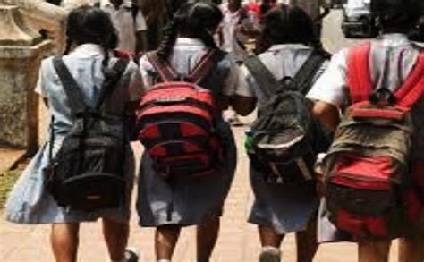 Haryana shuts schools in 4 districts due to air pollution - IBTimes India