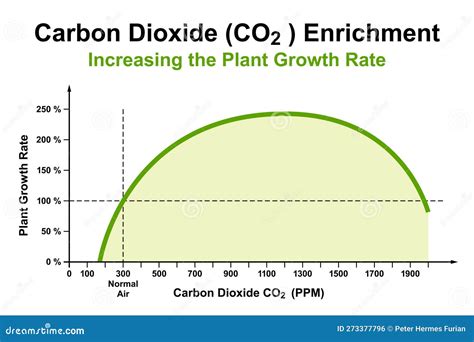 Carbon Dioxide (CO2) Enrichment, Effect on the Plant Growth Rate Stock Vector - Illustration of ...