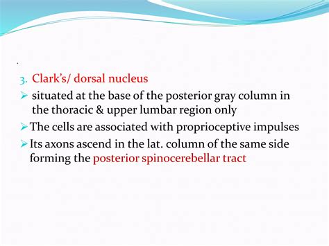anatomy,physiology of spinal cord 7CSF | PPTX