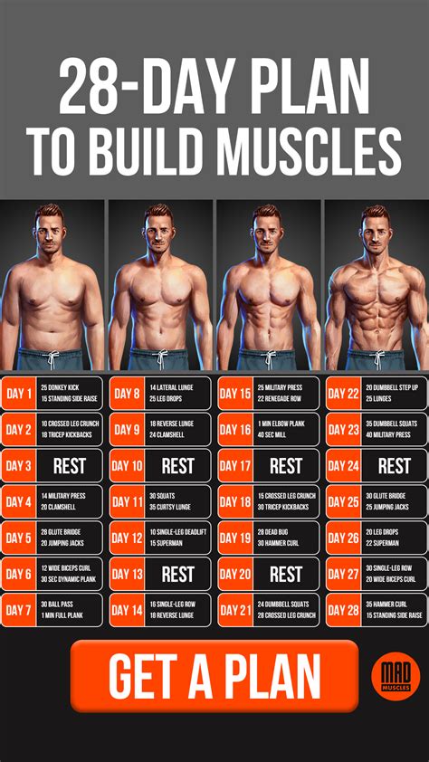 Image result for Muscle Building Workout Plan
