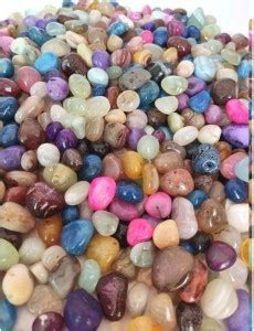 Green Plant indoor River Rock Planted Substrate Price in India - Buy ...