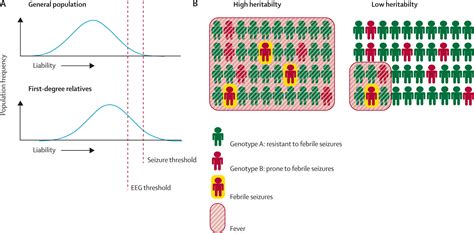 Navigating the channels and beyond: unravelling the genetics of the ...
