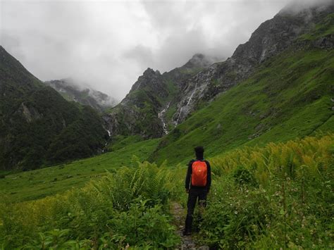 Agonizing Words | Collection of Poetry, Blogs and Emotions of Life