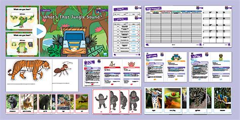 Phonics Level 1 Week 20 - Jungle Animals Weekly Lesson Pack