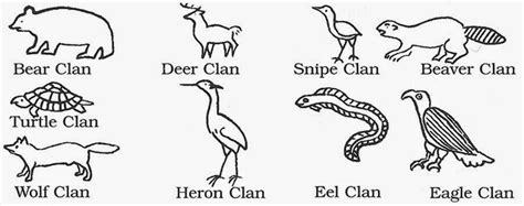 5 Iroquois Clans: History, Traditions, and Significance