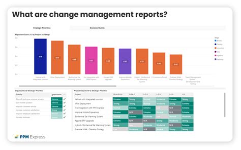 Image result for How to Optimize Project Reports