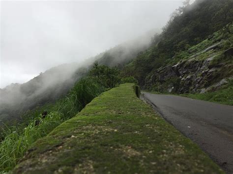 Mudigere Pictures - Traveller Photos of Mudigere, Chikkamagaluru ...