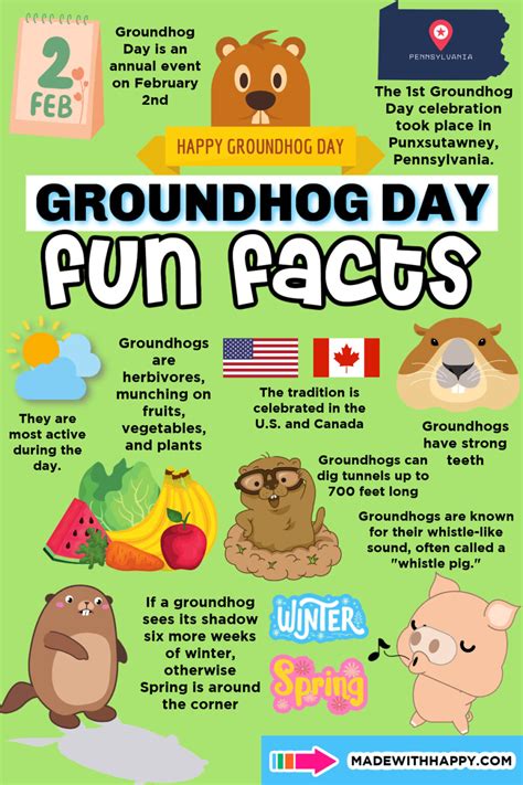 27+ Fun Groundhog Day Facts For Kids - Made with HAPPY