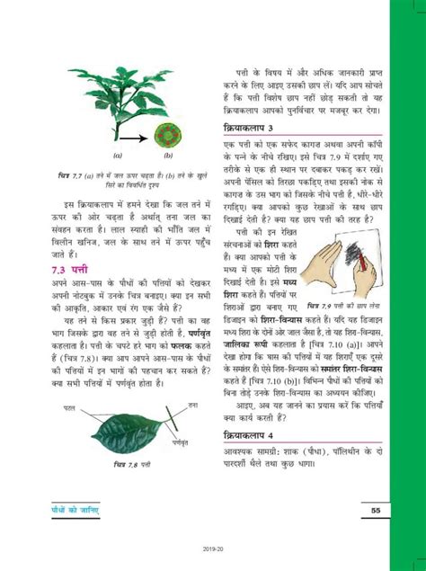 Class 6 Science Chapter 7 Book 的图像结果