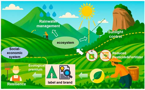 Analysis of Causal Relationships Between Climate Perceptions and ...