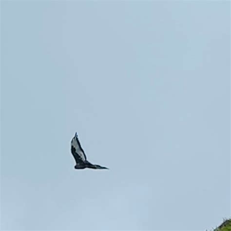 MBOTYI RIVER LODGE - Lodge Reviews & Photos - Tripadvisor