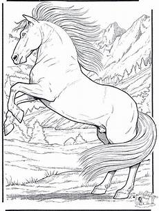 pferde malvorlagen gratis free coloring pages of animals realistic pferde malvorlagen gratis free coloring pages of animals realistic