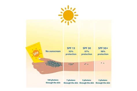 Comprendre le SPF : ce que signifient vraiment les chiffres - Zicail