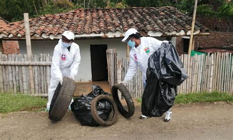En municipios endémicos se recolectan cerca de tres toneladas de ...