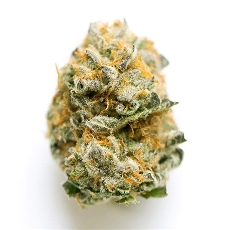 Mother's Milk | Marihuana Strain Information | Spliffmeister