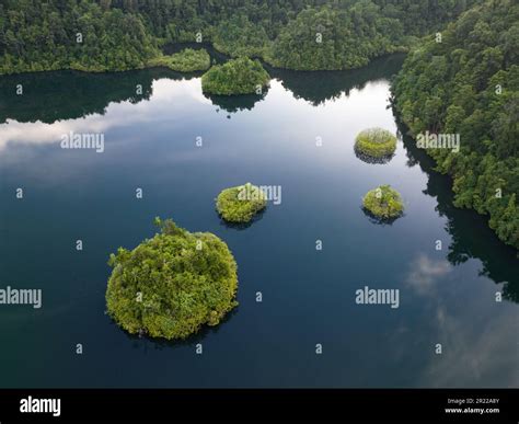 Saltwater Ecosystems