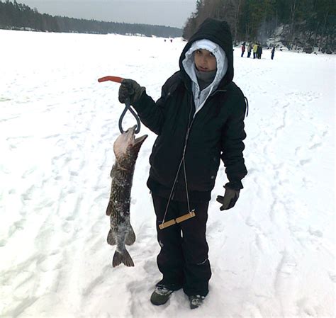 Image result for Angelkoder Schweden Hecht