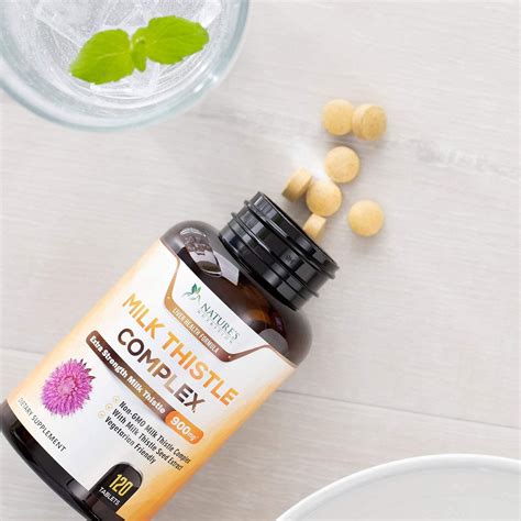 Buy Milk Thistle Silymarin Concentrated Support for Liver Function ...