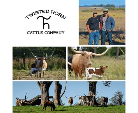 Twisted Horn Cattle Company Twisted Horn Bulk Ground Beef Box