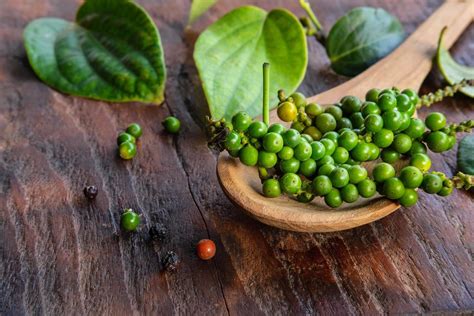 Image result for Piper Cooking