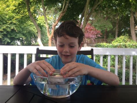 Image result for Simple Experiments Outside