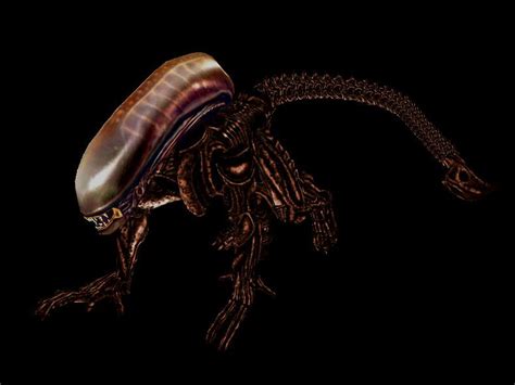 Image result for Alien Bug Runner