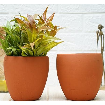 GOLD DUST Terracotta Pots, Clay Pots for Plants, Garden Pots for Plants ...