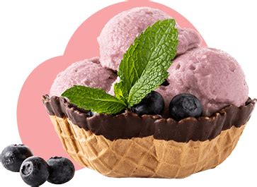 FRUIT OVERLOAD TENDER COCONUT SITAPHAL MADAGASCAR CHOCOLATE KESAR PISTA ...