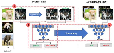 Image result for Contrastive Self Supervised Learning