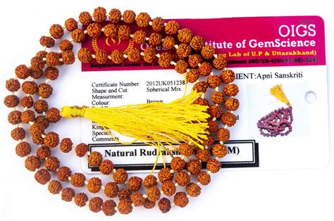 Apnisanskriti 5 Mukhi Rudraksha Mala for Men/Women Wearing (4mm, Zero ...