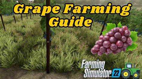 Image result for FS22 Grapes Using Courseplay