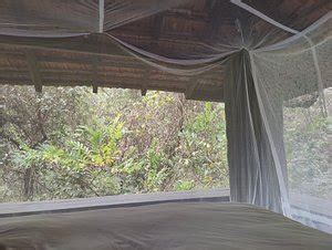 BAGHVAN, A TAJ SAFARI - PENCH NATIONAL PARK (Kohka) - Hotel Reviews ...