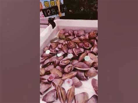 Image result for Expensive Shells