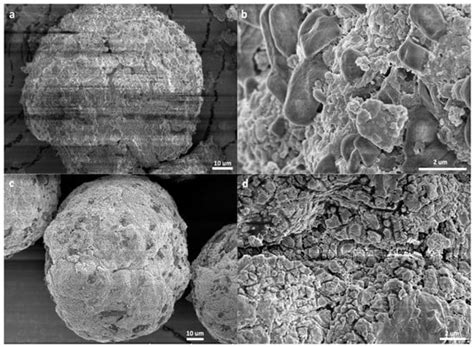 Polymers | Special Issue : Catalytic Polymerization