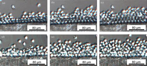 SiO2 Particles 的图像结果