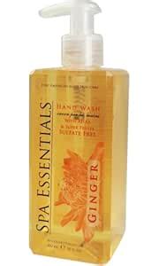 Natural Hand Wash with AHA's and Super Fruits, Ginger, 10 Fluid Ounce ...