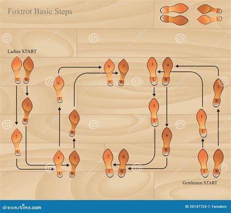 Instructions Box Step Dancing 的图像结果