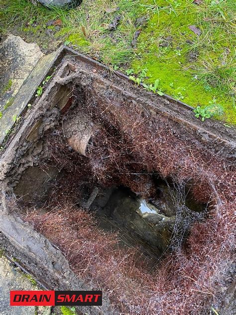 Image result for Drain Problem