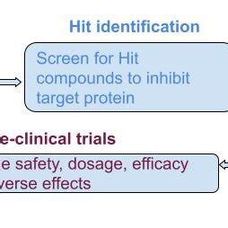 Image result for Drug Development Flowchart