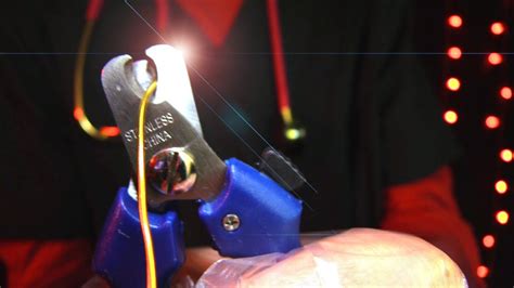 ASMR Remove 的图像结果