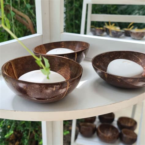 Coconut Shell Eco-friendly Soap Dish (Set Of 2) - Wholistic You