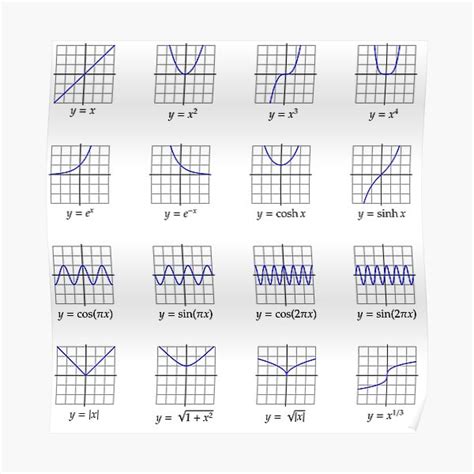 Image result for Common Function Graphs