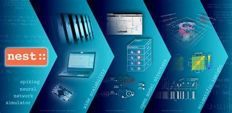 Nest Programming Tutorial 的图像结果
