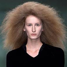 Coarse Hair Causes by The 12 Most Annoying Thick Hair Problems And Fixes Coarse Hair Causes