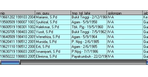 Visual Basic DataGrid 的图像结果
