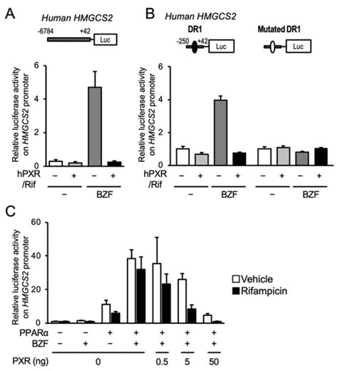 Cells | Topical Collection : Current Trends in Xenobiotic Sensing ...