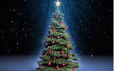 Merry Wallpaper Tree by Happy Merry Tree Hd Wallpaper Merry Wallpaper Tree