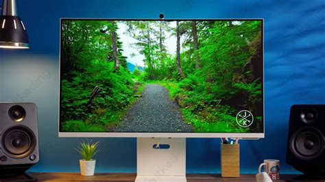 Output Device in GIF From 的图像结果